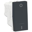 Módulo Interruptor Bipolar Simples 10 Amperes 250 Volts Grafite Orion - S70110294 - SCHNEIDER Módulo Interruptor Bipolar Simples 10 Amperes 250 Volts Grafite Orion - S70110294 - SCHNEIDER