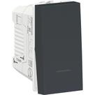 Modulo Interruptor Paralelo 10A 250V Grafite Orion Schneider