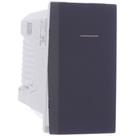 Módulo Interruptor Simples 10 Amperes 250 Volts Grafite Orion - S70110194 - SCHNEIDER