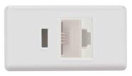 Módulo para Tomada de Telefone Tramontina IzyFlat RJ 11 Branco Módulo para Tomada de Telefone Tramontina IzyFlat RJ 11 Branco