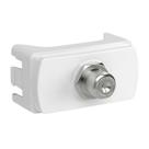 Módulo Soquete Coaxial Para Antena Tv Schneider Miluz - Branco