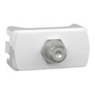 Modulo Tomada Antena Cabo Coaxial Miluz S3B74680 Schneider Modulo Tomada Antena Cabo Coaxial Miluz S3B74680 Schneider