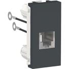 Modulo Tomada RJ11 2Fios Grafite Orion Schneider - SCHNEIDER ELETRICA