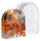 Molde de resina de silicone Wisedry 25x20x7,5cm com suporte acrílico