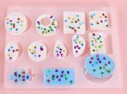 Molde de Silicone Bijuteria OHS-01