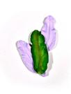 Molde de silicone orquídea para decorar f286