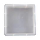 Molde Grande De Silicone Para Resina Para Preservação De Espécimes De Insetos, Formatos Quadrado,