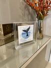 Moldura Caixa Acrílica Transparente para Mesa ou Parede Expositor de Fotos Arte Porta Maternidade e Decoração Moldura Caixa Acrílica Transparente para Mesa ou Parede Expositor de Fotos Arte Porta Maternidade e Decoração