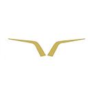 Moldura Frontal Grade Para Daf XF - Dourado - Par Moldura Frontal Grade Para Daf XF - Dourado - Par