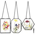 Molduras de flores prensadas suspensas FOCHIER, 3 unidades com vidro duplo