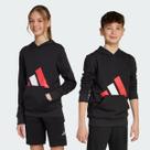 Moletom Adidas Big Logo HD 280 Juvenil Preto