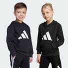 Moletom Adidas Essentilas Big Logo Juvenil Preto