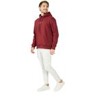 Moletom Aeropostale Fechado Vinho Masculino