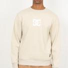 Moletom DC Shoes Careca DC Star WT26 Masculino Bege