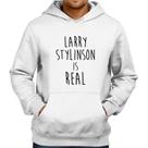 Moletom Larry Stylinson is real - Foca na Moda