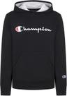Moletom masculino Champion Fleece com capuz