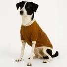 Moletom para Pet - Classic - Marrom
