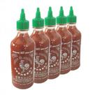 Molho De Pimenta Sriracha Huy Fong 481g ( Kit Com 5) Molho De Pimenta Sriracha Huy Fong 481g ( Kit Com 5)
