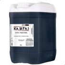 Molho Shoyu Tradicional Kampai Galão 20L Uso Profissional Para Sushi Temaki e Sashimi Molho Shoyu Tradicional Kampai Galão 20L Uso Profissional Para Sushi Temaki e Sashimi