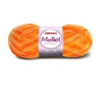 MOLLET 100gr - COR 9059 - Abobora