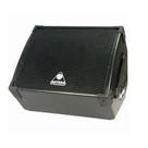Monitor de Palco Passivo 150W 15 Polegadas M 15.1 - ANTERA