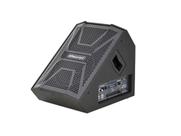Monitor oneal amplificado opm 1310x pt 120w