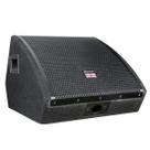 Monitor para palco passivo 12 - pintado