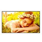 Monitor Profissional LG 4K UHD Video Wall - 65UL5Q-M.AWZM Monitor Profissional LG 4K UHD Video Wall - 65UL5Q-M.AWZM