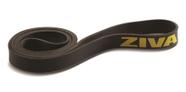 Monster Band Forte - Ziva
