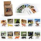 Montessori Zoo Safari Animal Match MEROCO com 12 estatuetas