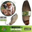 Mordedor 100% Natural Orelha bovina pet cachorro