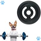 Mordedor Anilha para Cachorros Brinquedo Resistente