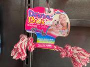 mordedor fio dental para pet