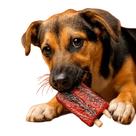 Mordedor para Cachorro Ripas de Costela Sabor Bacon Brinquedo Resistente para Mastigação Bom Amigo W9125 Mordedor para Cachorro Ripas de Costela Sabor Bacon Brinquedo Resistente para Mastigação Bom Amigo W9125