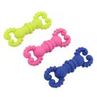 Mordedor TPR Lagosta Pet Dental 12cm Cachorro Lovely Vibe