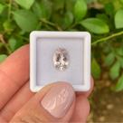 Morganita Oval 2,38ct