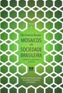 Mosaicos da Sociedade Brasileira. Problemas Institucionais e Sugestões - Volume 1 - Thesaurus