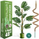 Moss Pole Monstera Plant Support 48" GardenGear, pacote com 1