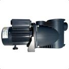 Moto Bomba Para Piscina Xkp305 1/4cv 220v Lepono C/nfe