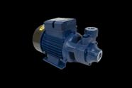 Moto Bomba Periférica 1,0hp 127/220v - Eletroplas ICS-100AB