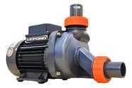 Motobomba Banheira Hidromassagem 1 Cv Dágua Lepono 220V