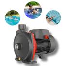Motobomba Centrífuga Lepono ACM37 0,5HP Ferro Fundido Potente Centrífuga 220v Motobomba Centrífuga Lepono ACM37 0,5HP Ferro Fundido Potente Centrífuga 220v