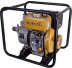 Motobomba Diesel Auto Escorvante 2X2'' 5CV PElétrica Buffalo Motobomba Diesel Auto Escorvante 2X2'' 5CV PElétrica Buffalo