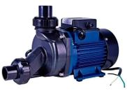 Motobomba Para Hidromassagem 3/4cv Eletroplas 127v Ech-75i