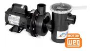 Motobomba Para Piscina Nautilus 1,0 Cv Motor Weg 110/220v