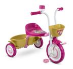 Motoca Infantil Triciclo das Princesas da Disney Nathor