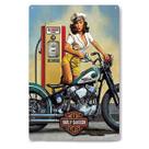 Motocicleta retrô Pin-up Girl Harley Davidson de estanho 20x30cm