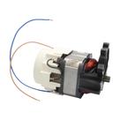 Motor 220v P/ Hidrolavadora Ipc Pw-c09 Original