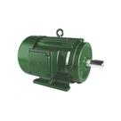 Motor 3,0cv2ptrif220/380blind.nov