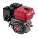 Motor a Gasolina B4T 6,5CV Partida Elétrica Branco